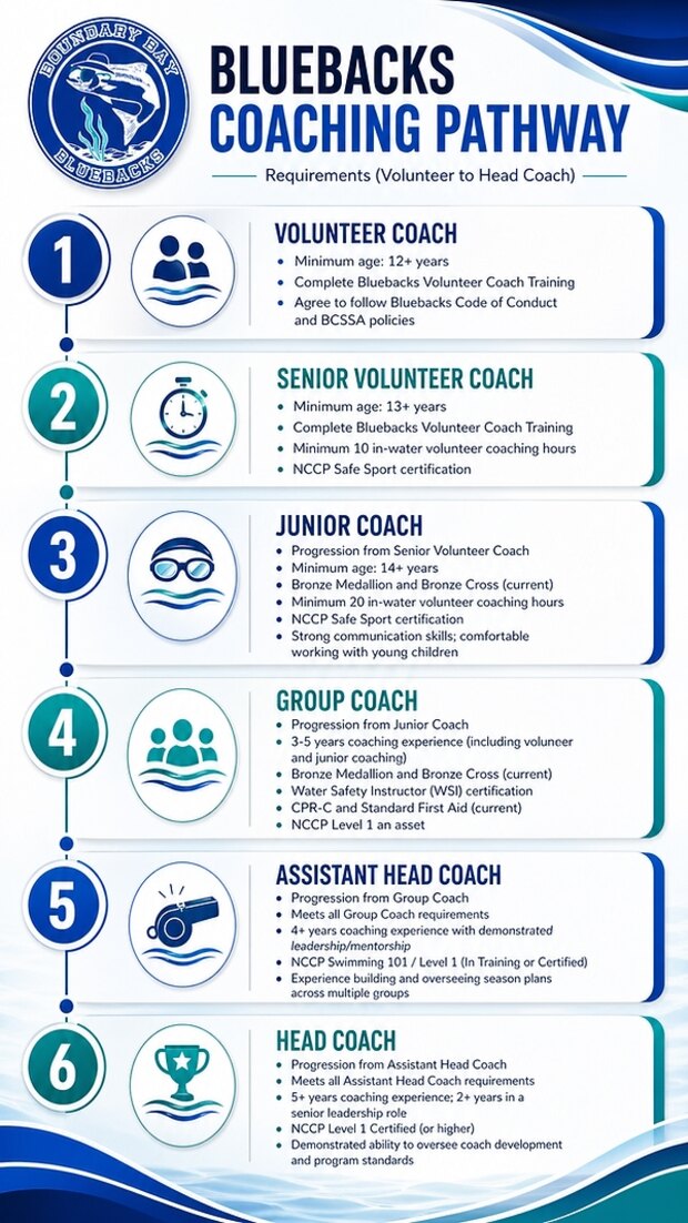 Bluebacks Coaching Pathway infographic showing six coaching levels and their requirements, from Volunteer Coach to Head Coach